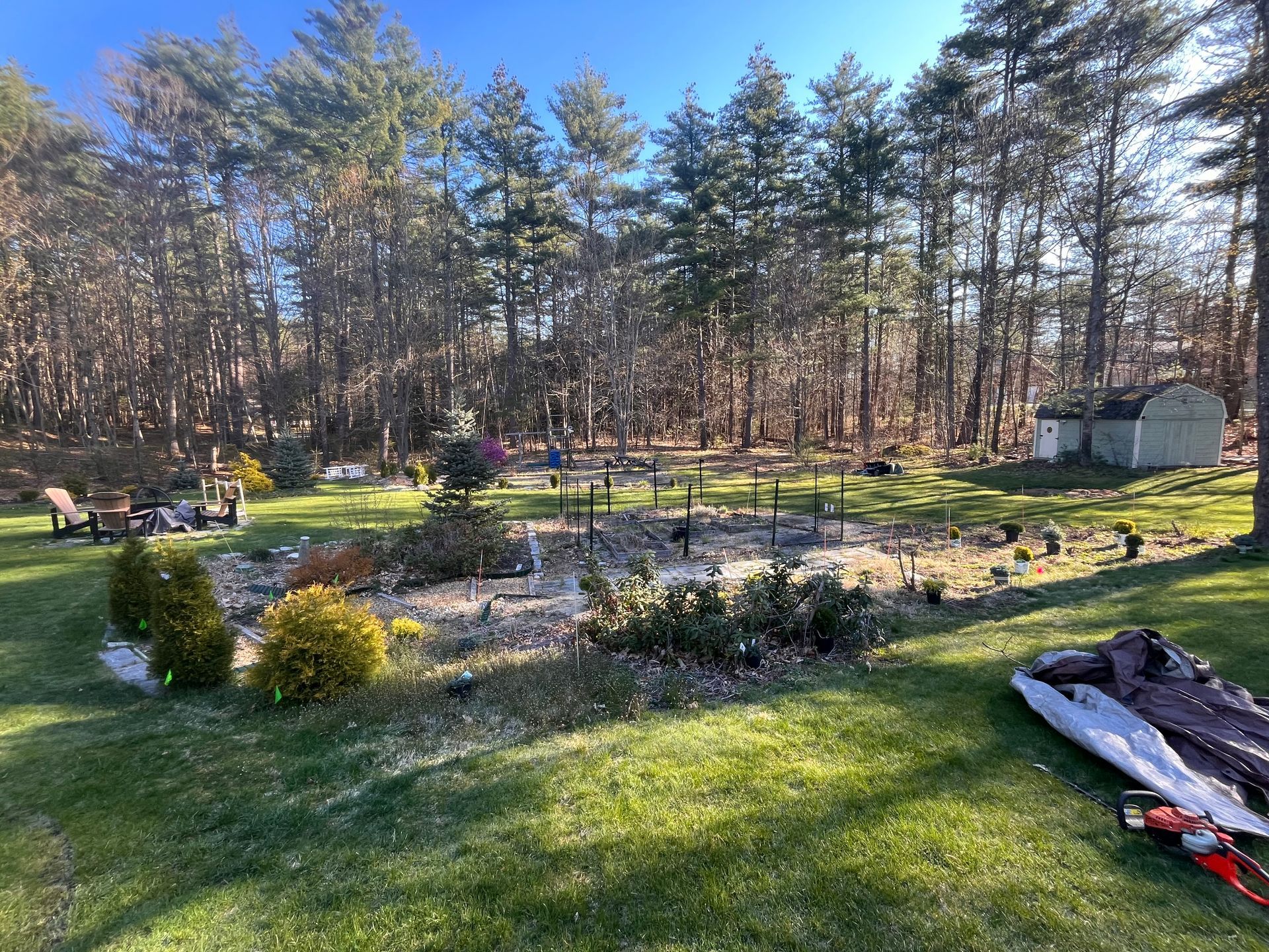 A kite is sitting on the grass in a backyard surrounded by trees.