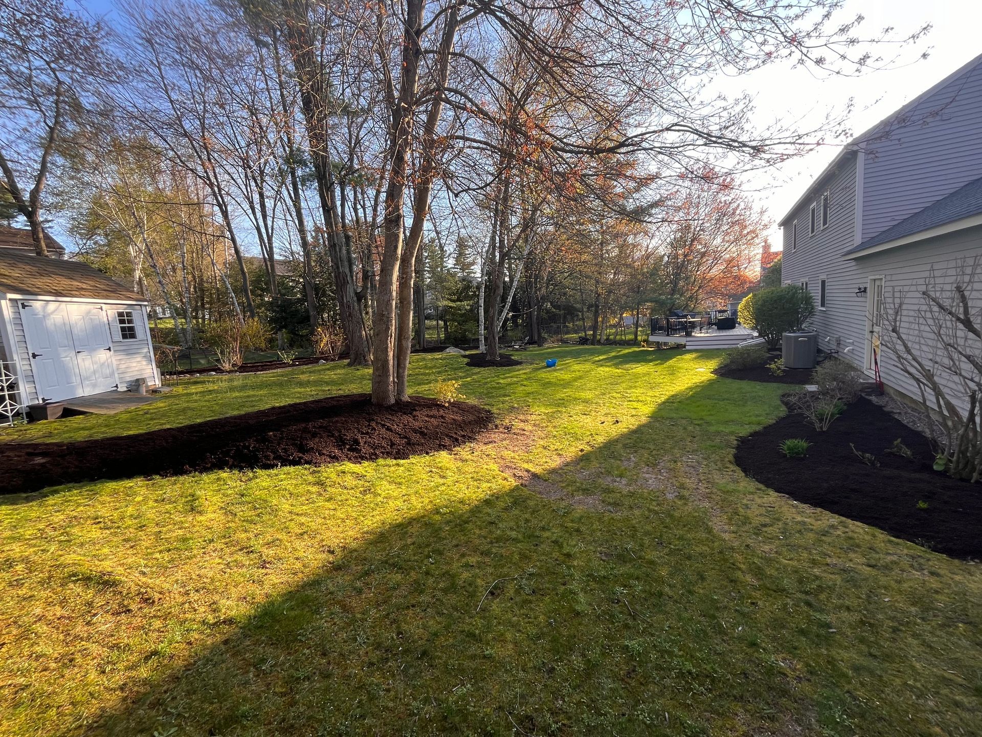 A lush green yard with trees and a house in the background.