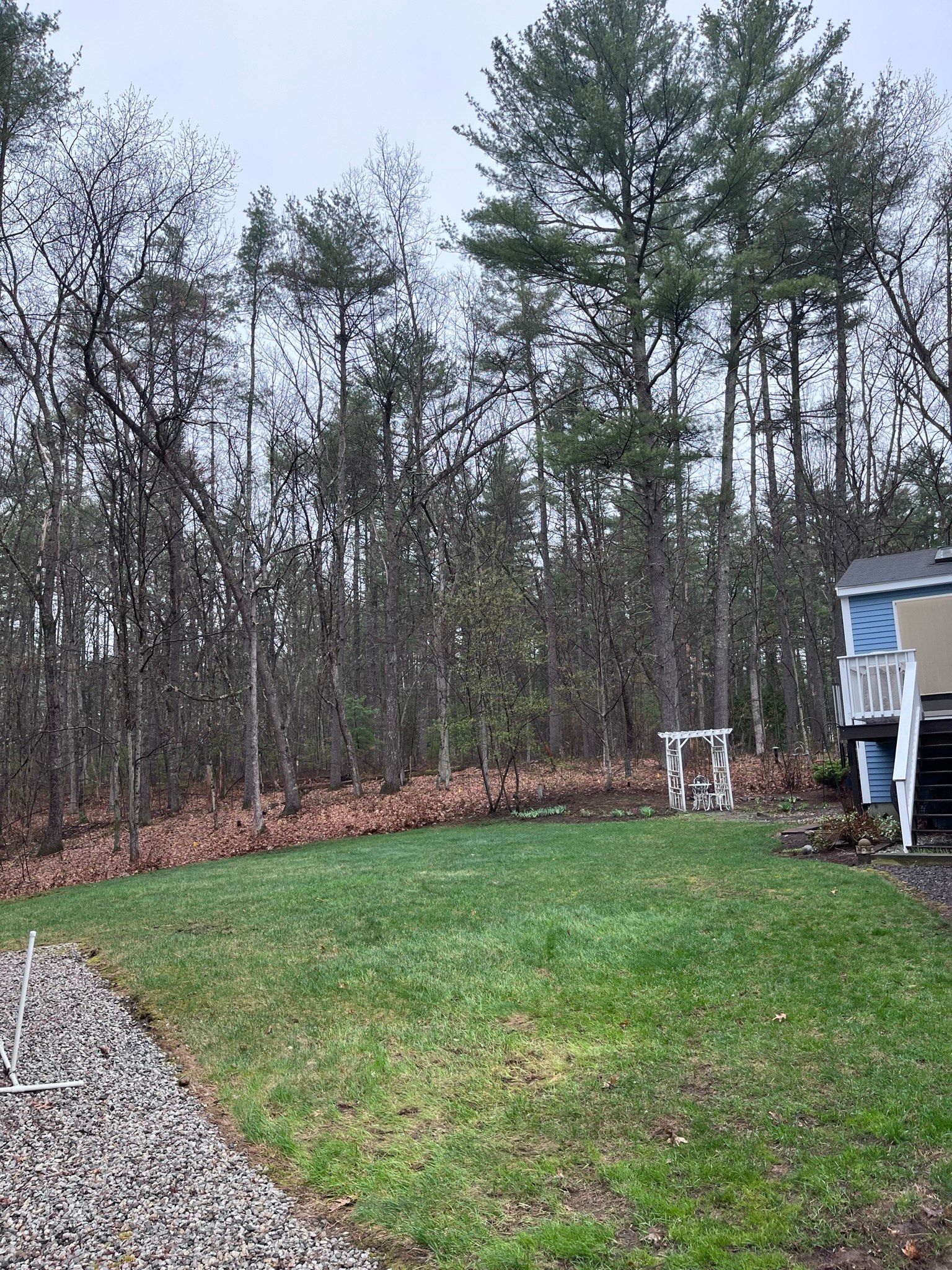 A house with a large lawn in front of it and trees in the background.