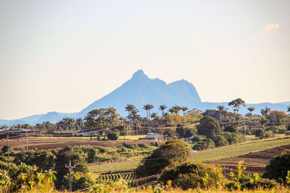 Rolling green farmland with a large, silhouetted mountain peak in the distance under a pale blue sky. — Glenn Rowe Auto Electrics In Northern Rivers, QLD