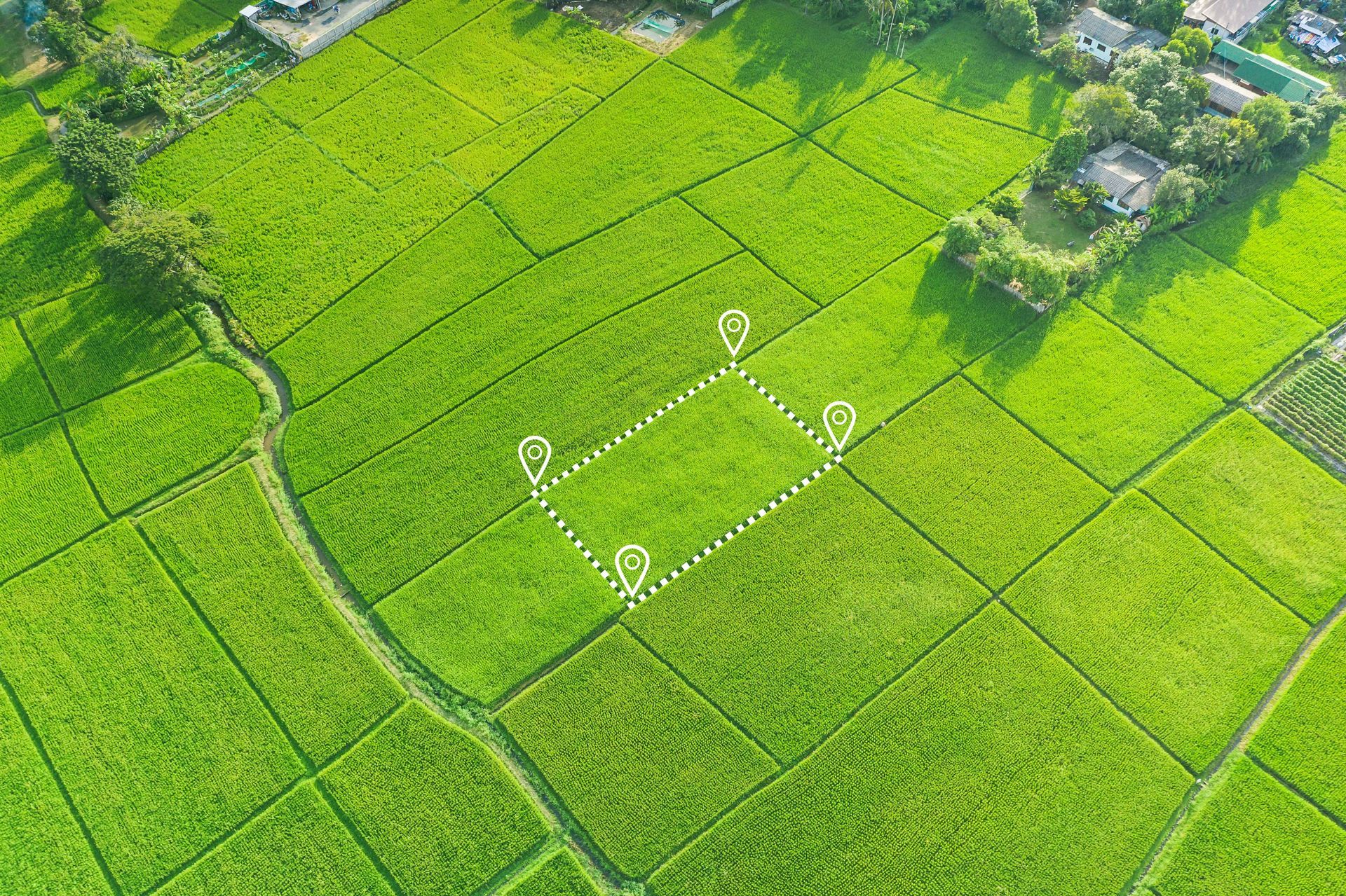 Aerial view of green farmland with a marked rectangular plot outlined by white pins.