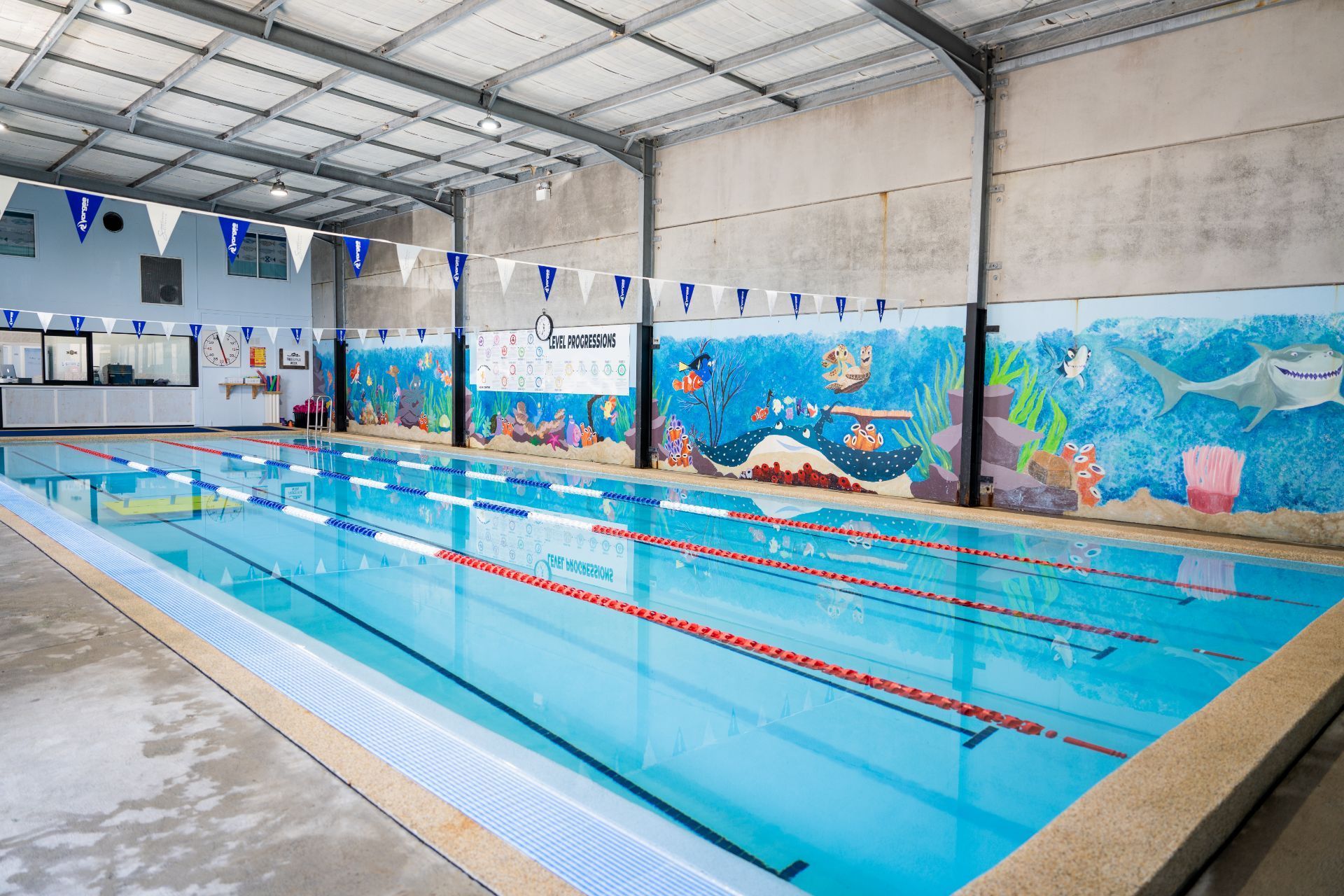 Female Swimmer, That Jumping and Diving Into Swimming Pool — Contact Our Team in North Wyong, NSW