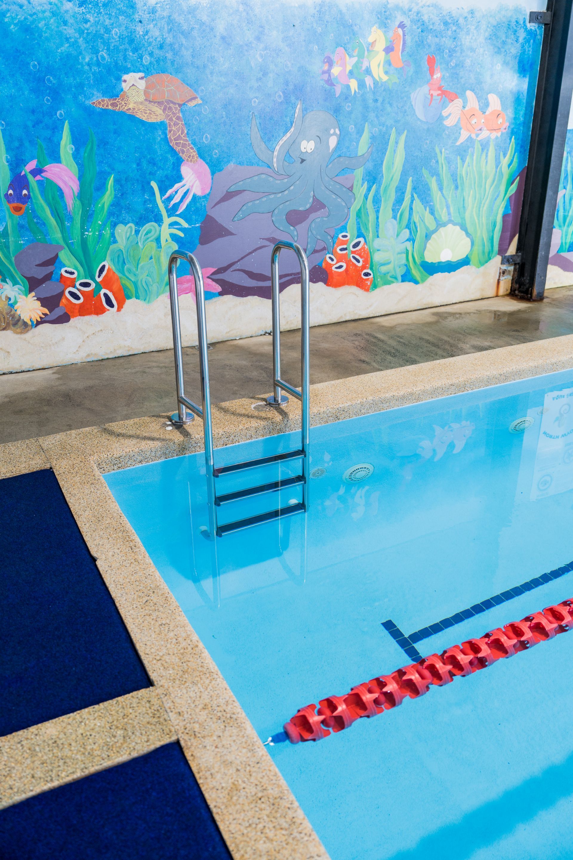 A Swimming Pool With a Ladder and a Mural on the Wall — North Wyong Aqua Centre In Wyong, NSW