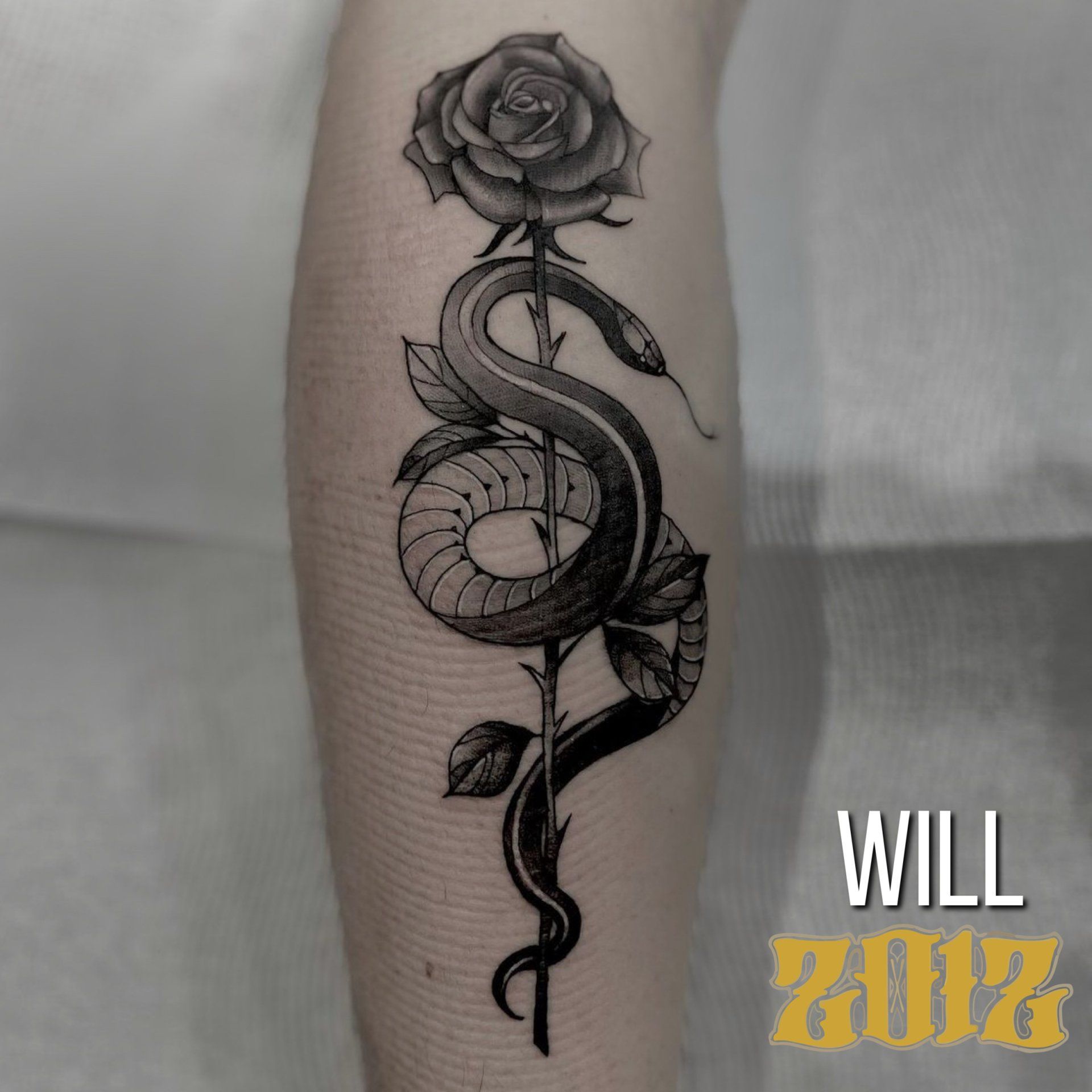 Will Kim | Tattoo Artist Newcastle | 2012 Tattoo Company