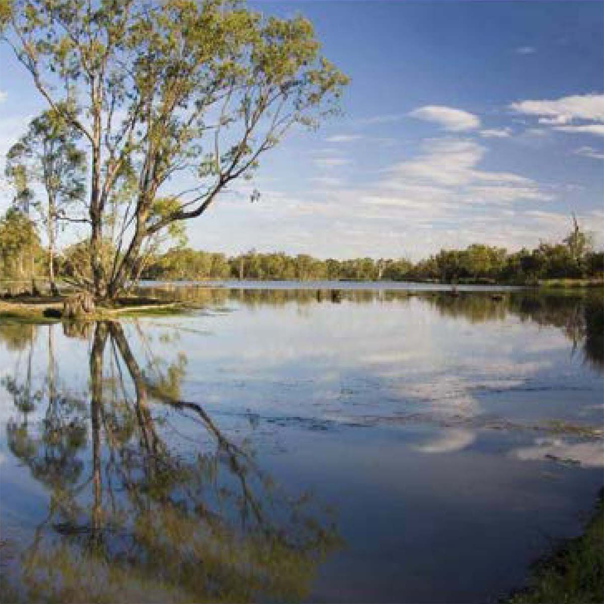 The Naming of Nichols Point - Bruce's Bend Marina