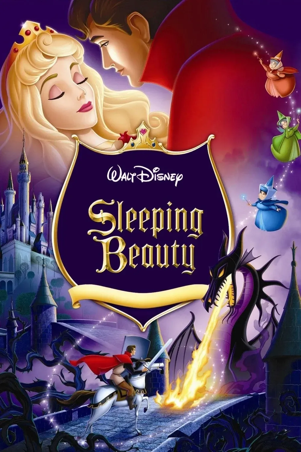 Sleeping Beauty ~ Break #1