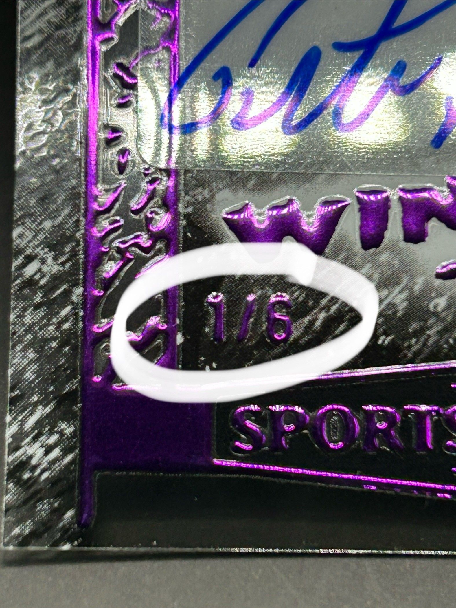 Pete Weber 1/6 (1ST OFF THE PRINT) Purple Win City
