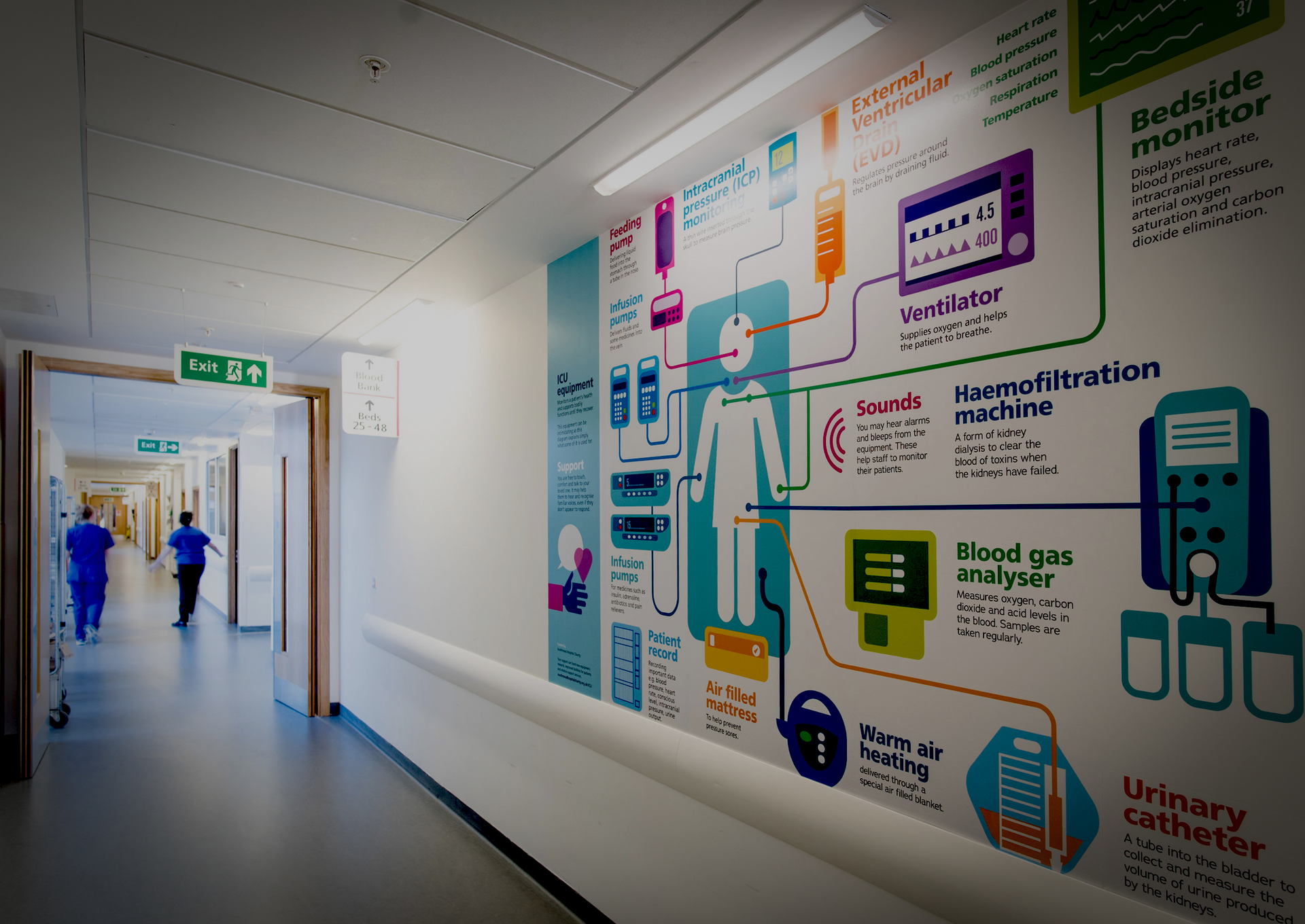 HLB Signs - sign design services - wall graphics