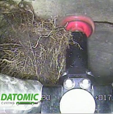 Drain Root Cutting Services