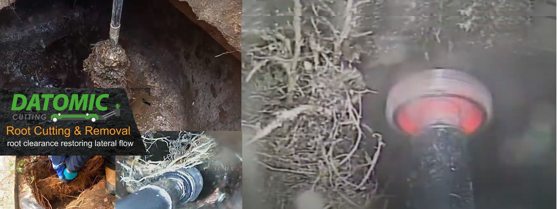 Remove Tree Roots from Drains and Sewers