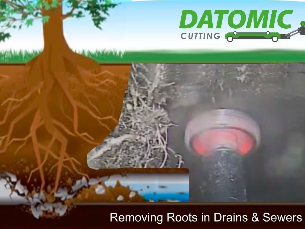 Remote Root Cutting