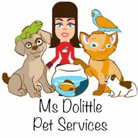 Mrs doolittle best sale pet care service