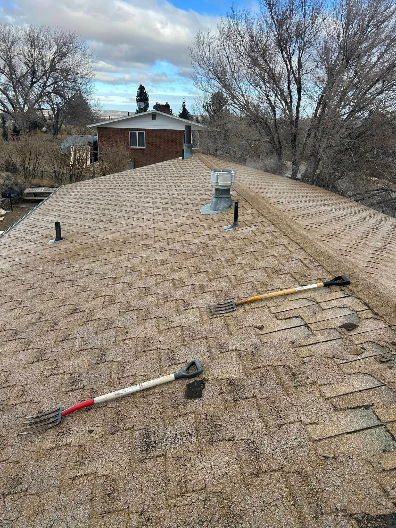 Two tools rest on a roof covered in small granules. The background shows trees and a building.