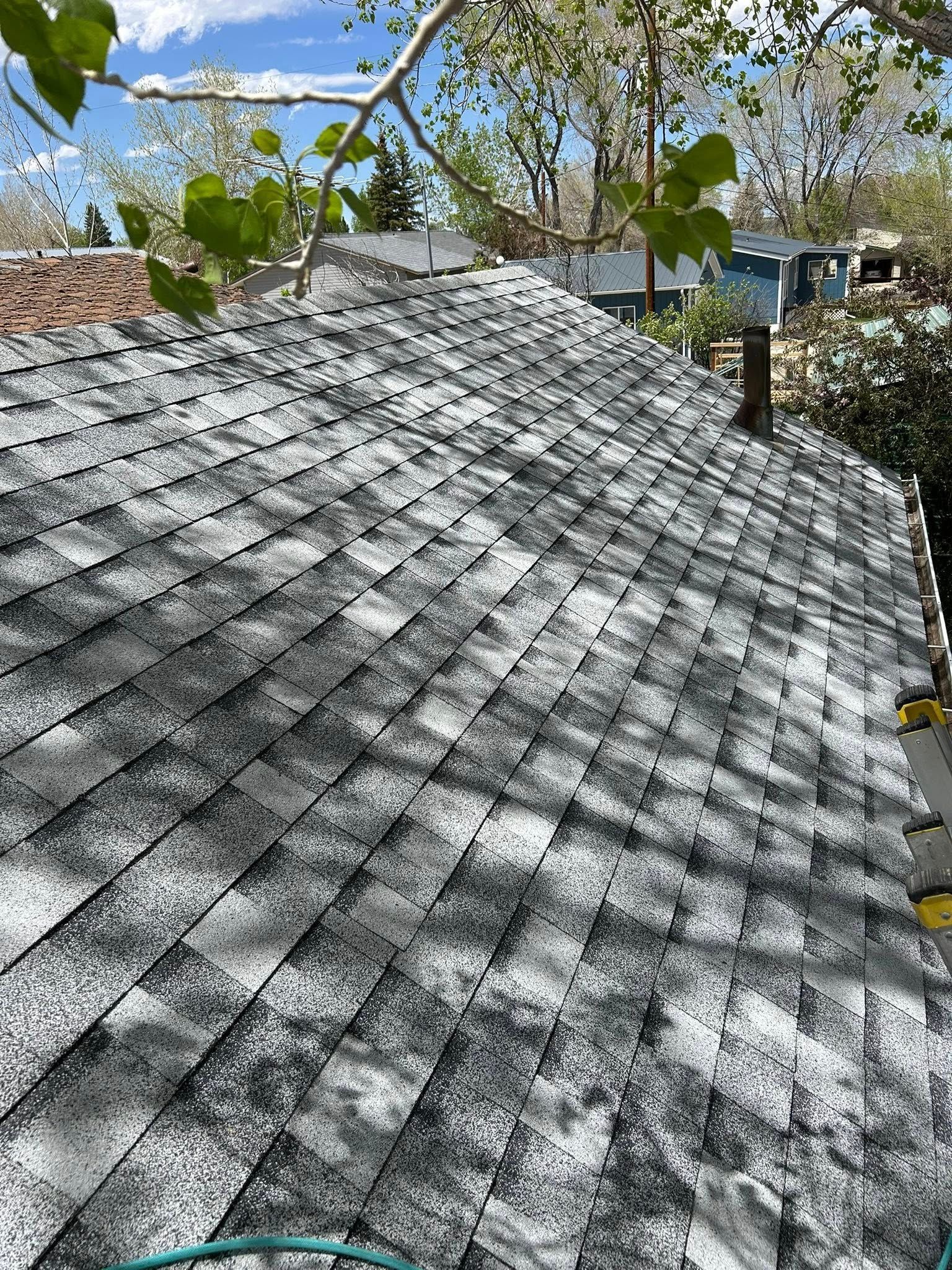 Gray asphalt shingle roof with black discoloration from mold and tree branches overhead.