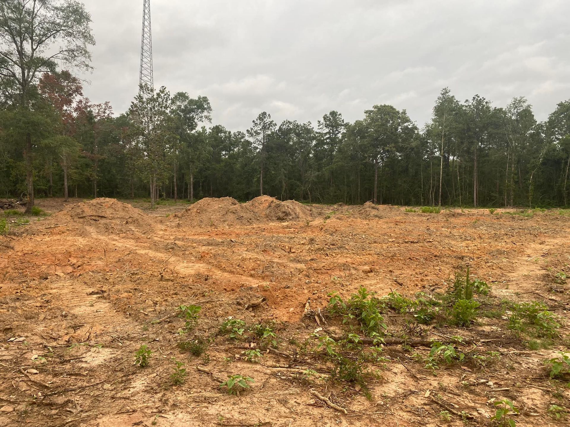 Cleared land with dirt mounds in front of a treeline and a cloudy sky.