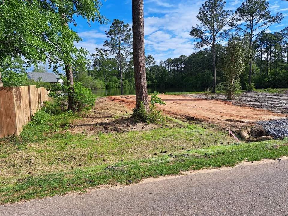 A cleared lot of land, with a few trees remaining, sits next to a road.