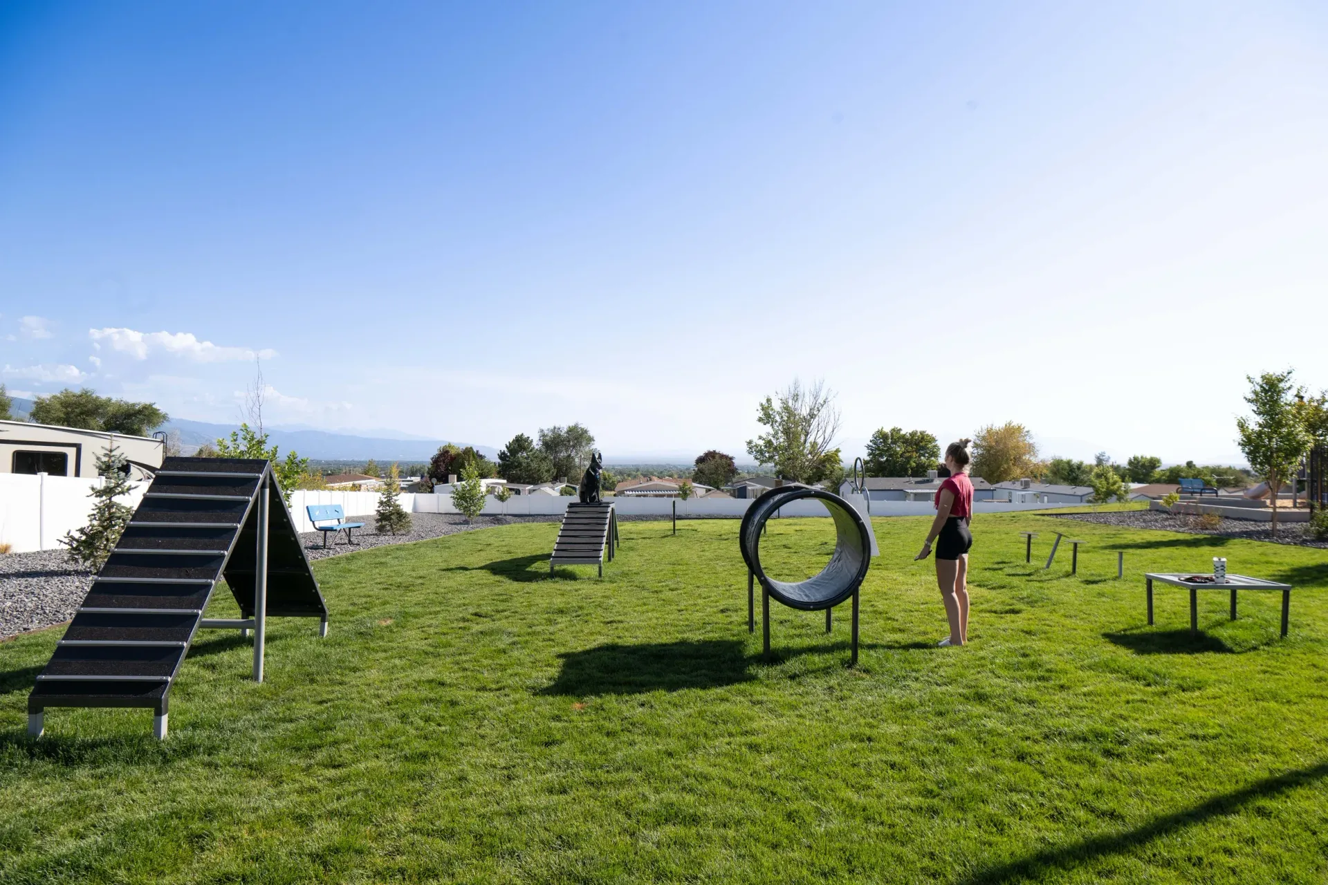 A woman is standing in the middle of a dog park.