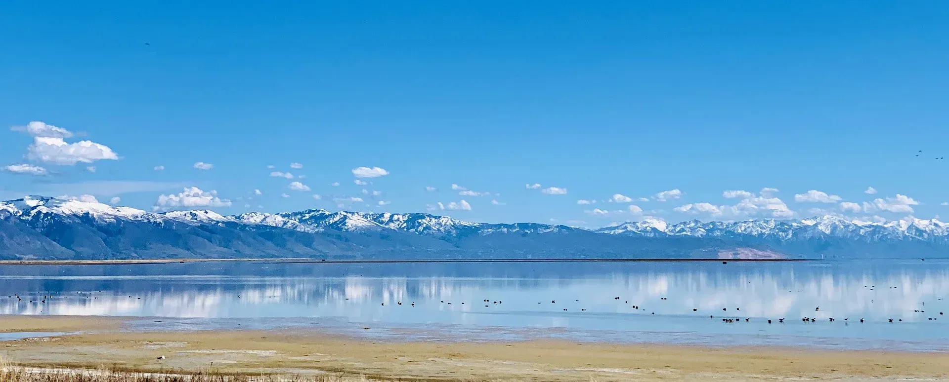 A large body of water with mountains in the background.