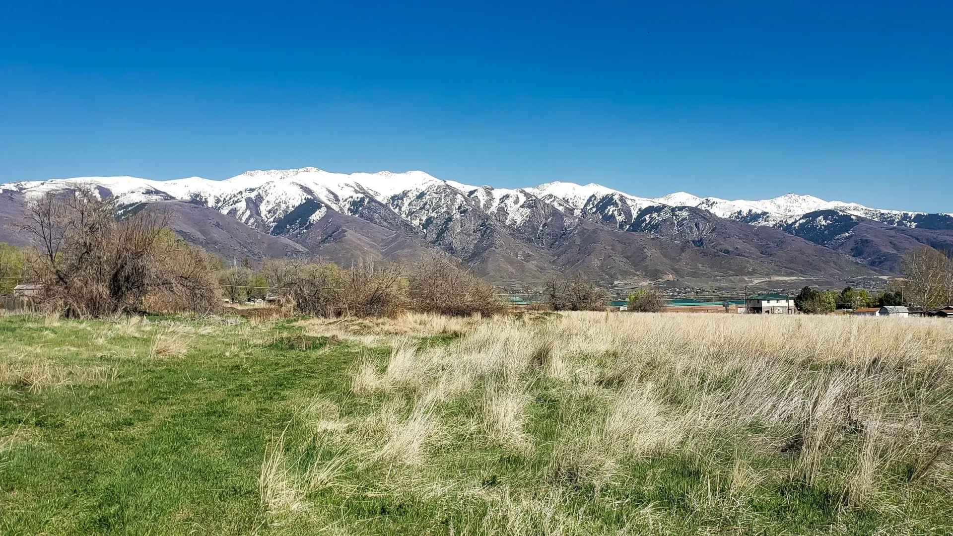 A field of grass with mountains in the background and a blue sky.