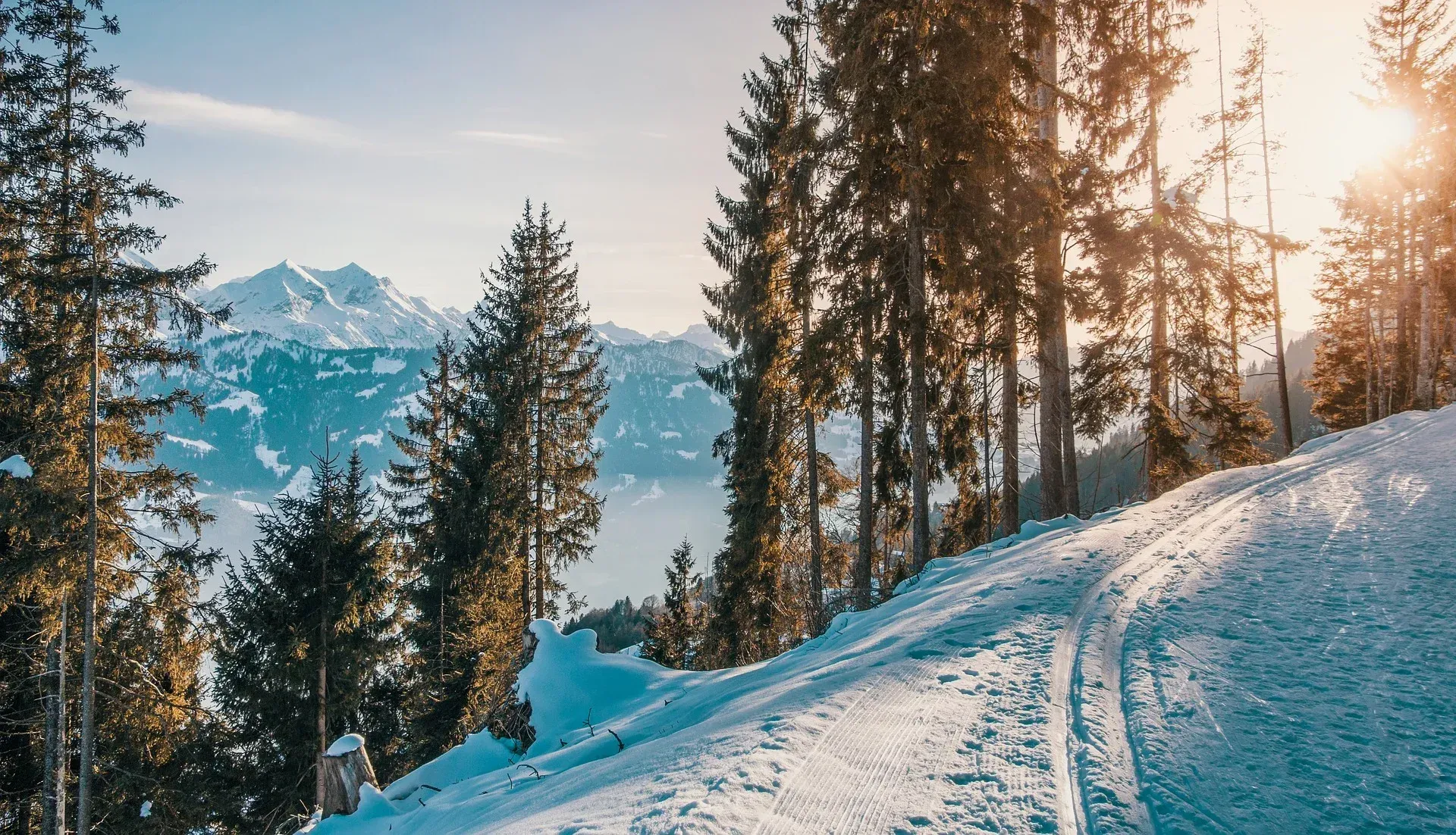 A snowy path going through a forest with mountains in the background.