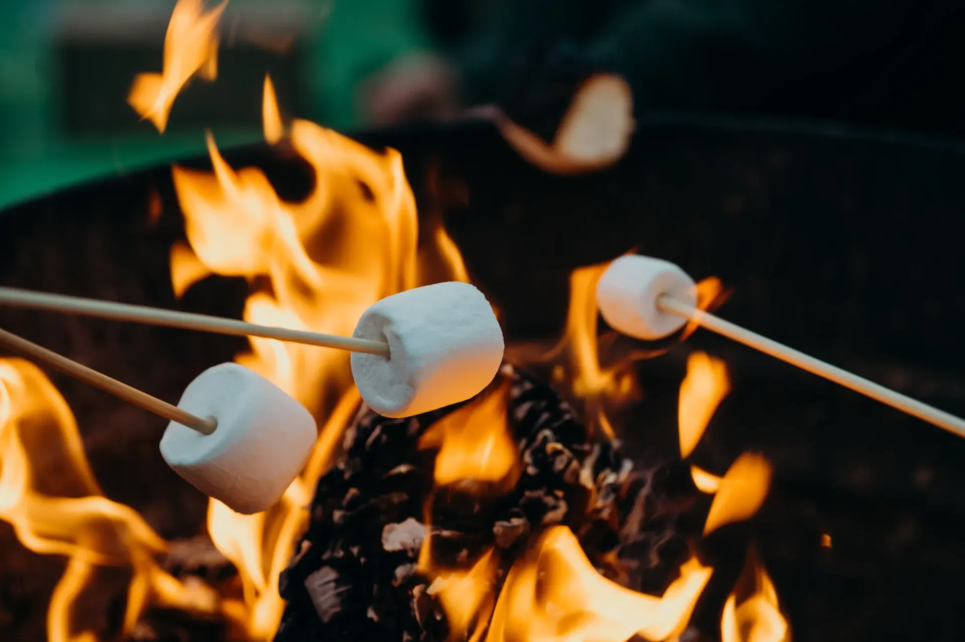 Two marshmallows are being cooked on sticks over a fire.