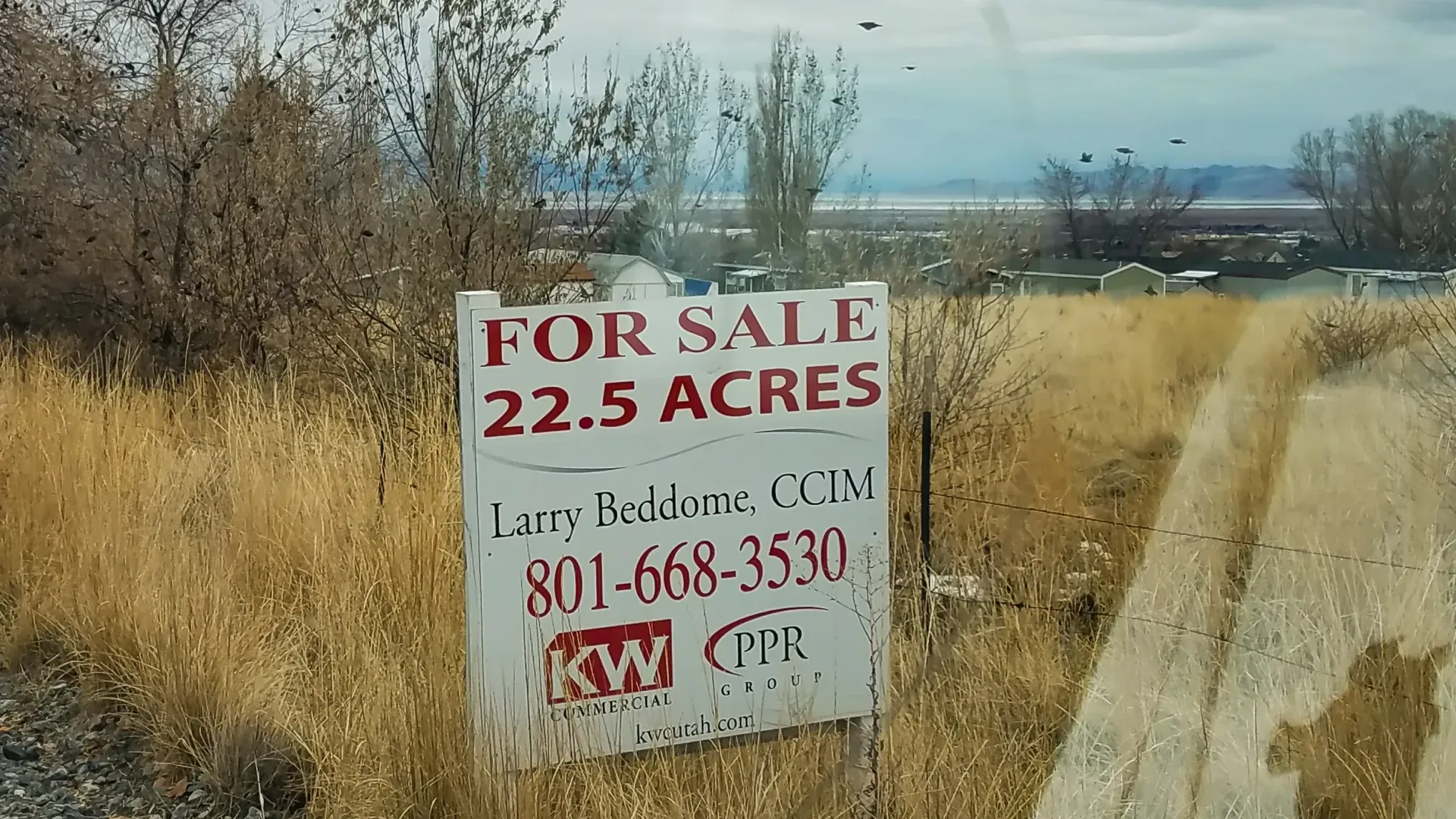 A for sale sign in the middle of a field