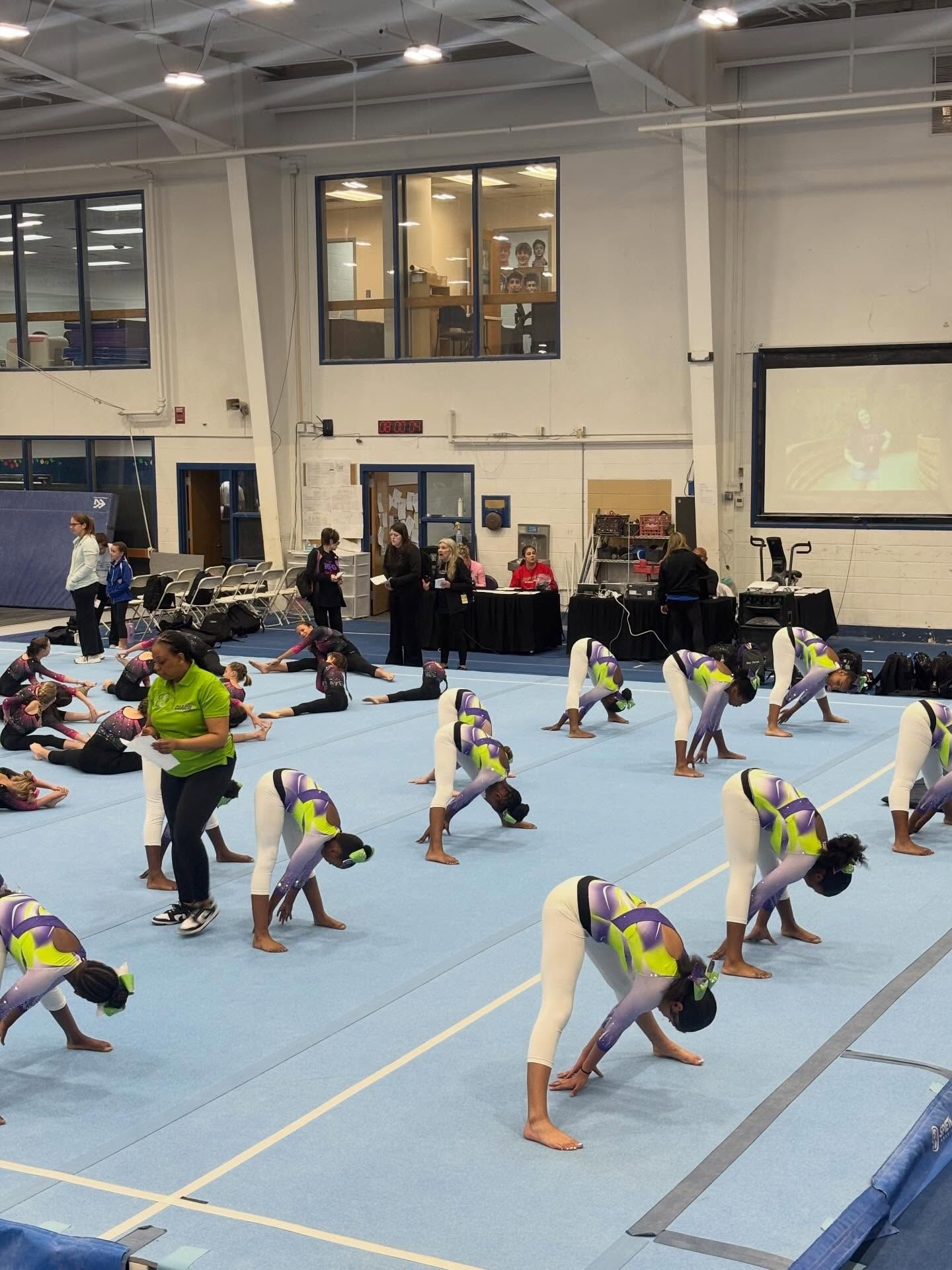 Gymnasts in purple and yellow leotards stretching on a blue mat in a gymnasium