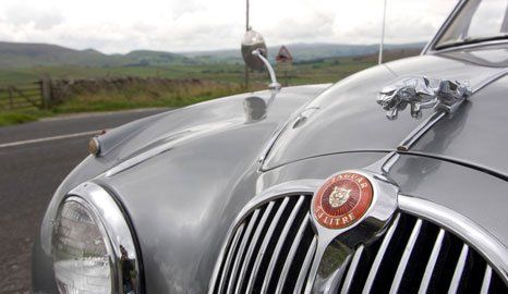 Vintage Jaguar car