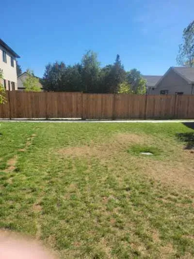 Lawn in a backyard with a wooden fence and clear blue sky.