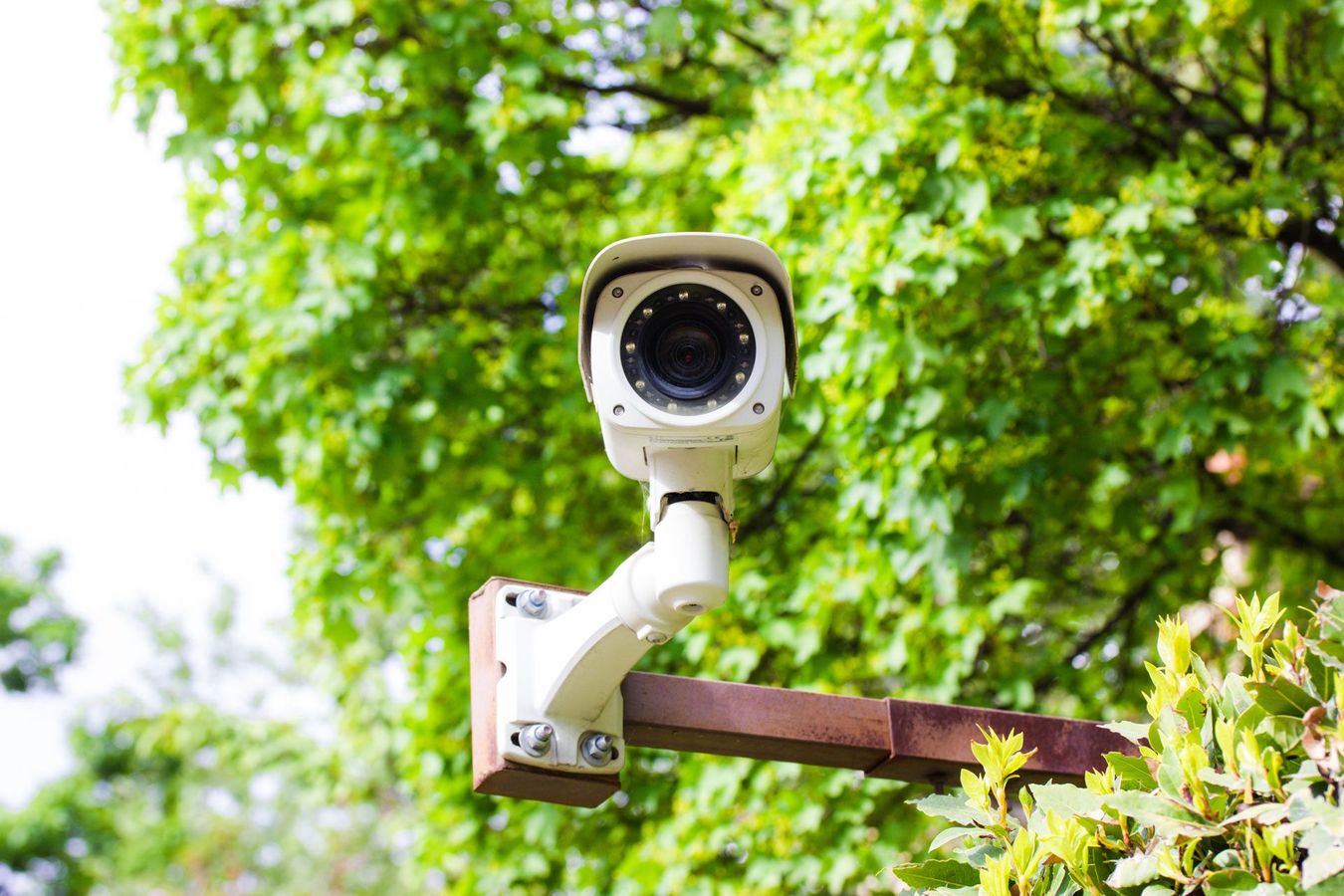 A security camera is mounted to a wooden post in front of a tree.