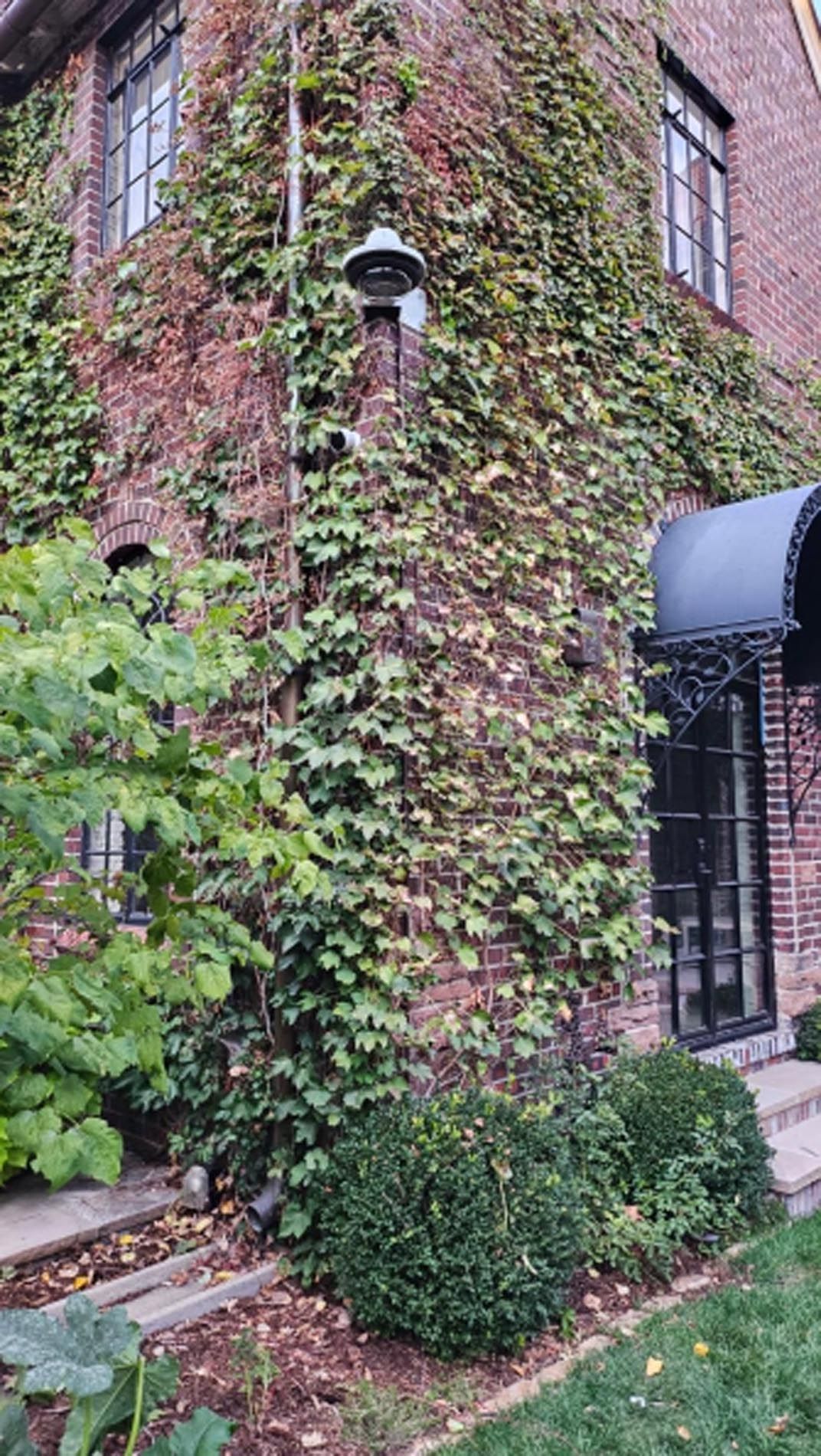 A brick building with ivy growing on the side of it.