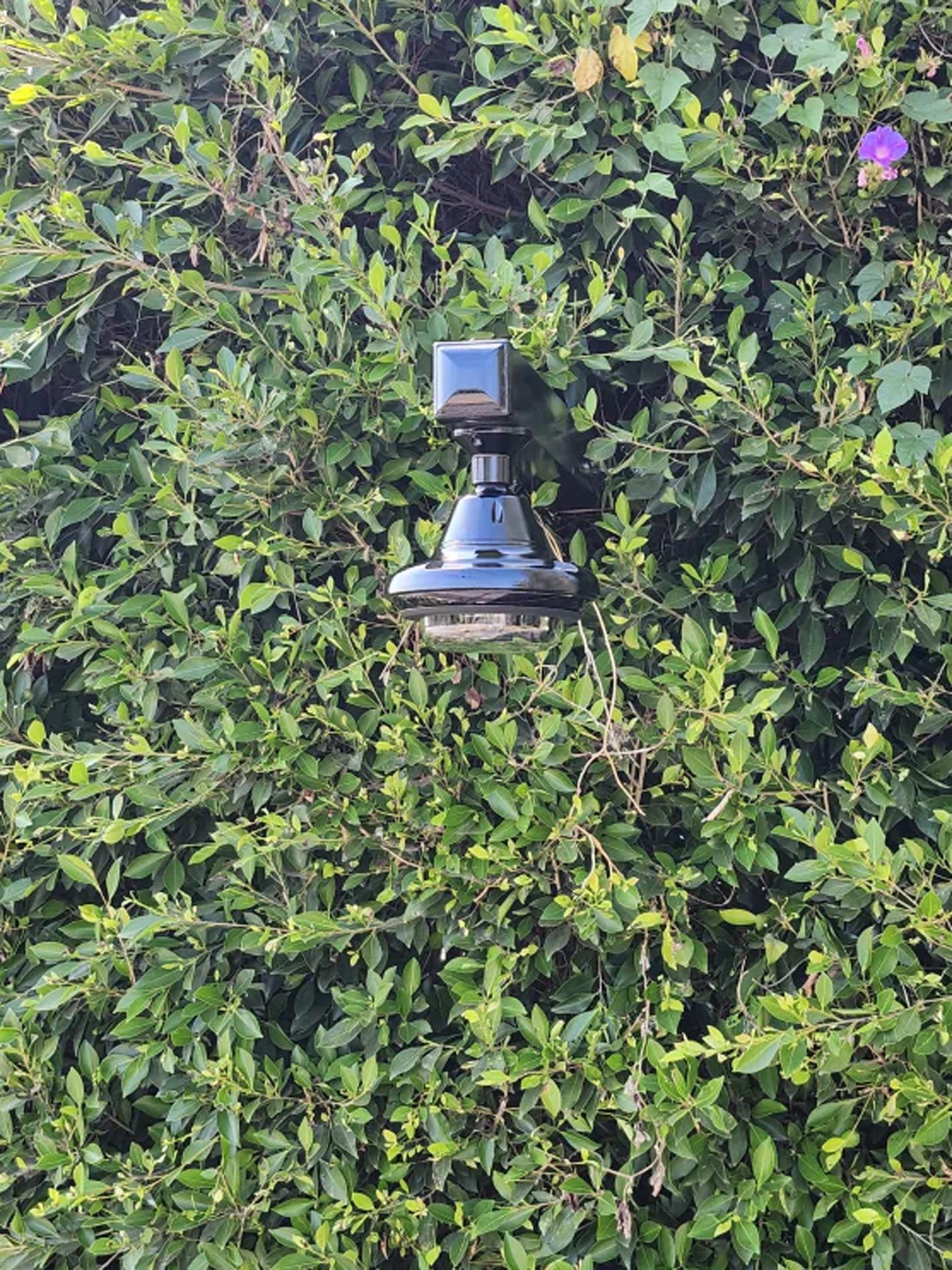 A camera is sitting in the middle of a hedge.