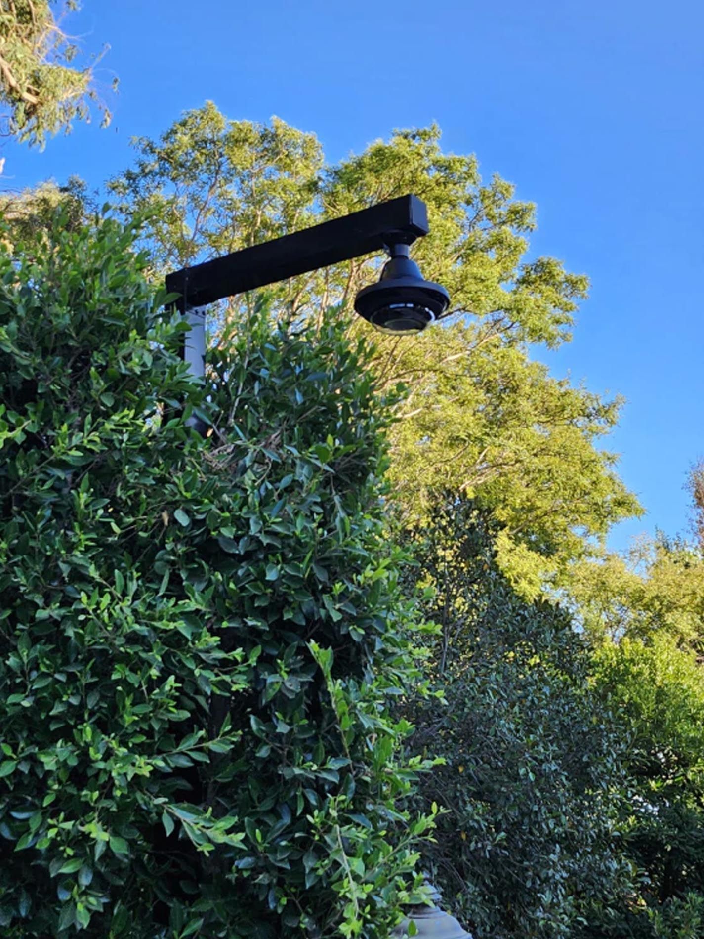 A black pole with a light on it is surrounded by trees