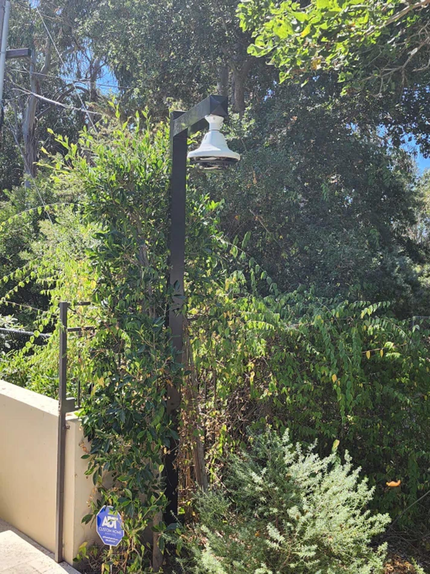 A street light is surrounded by trees and bushes in a park.