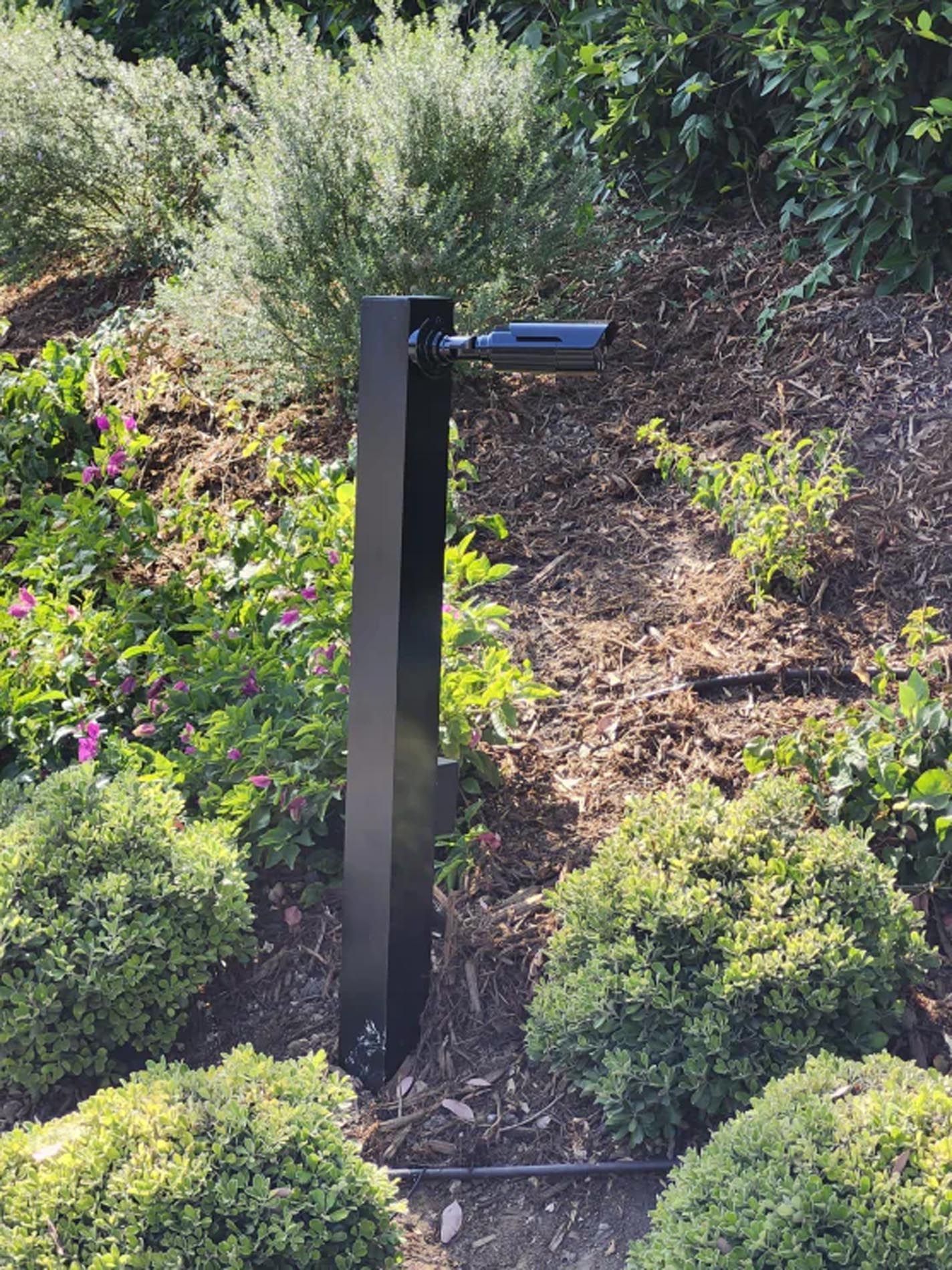 A black pole is in the middle of a garden surrounded by bushes and flowers.