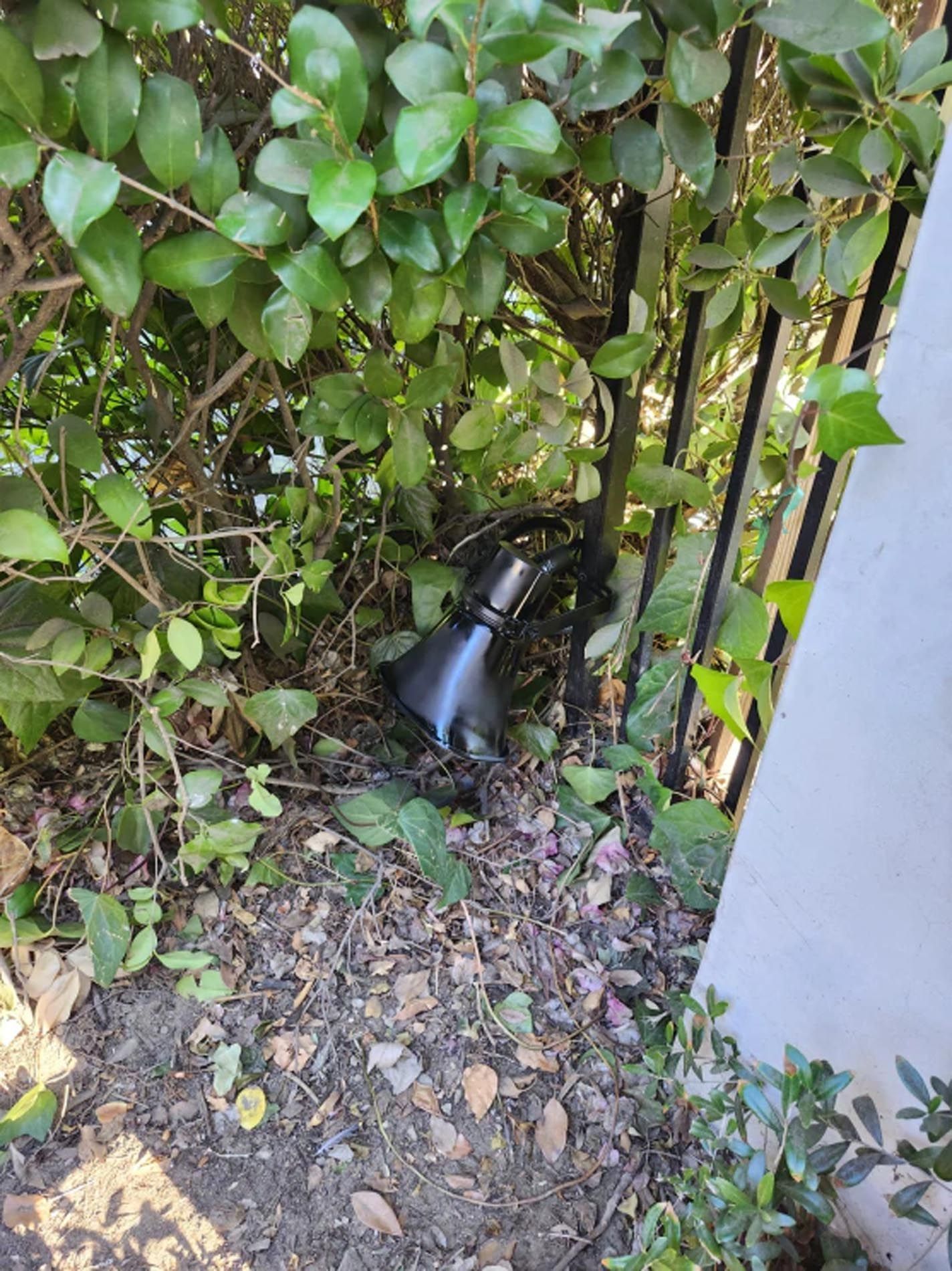 A black light is sitting in the dirt next to a bush.