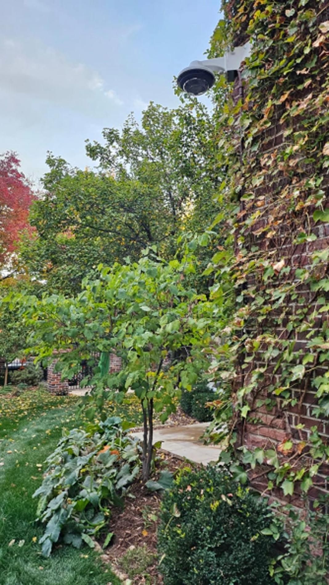 A security camera is mounted on the side of a brick wall.
