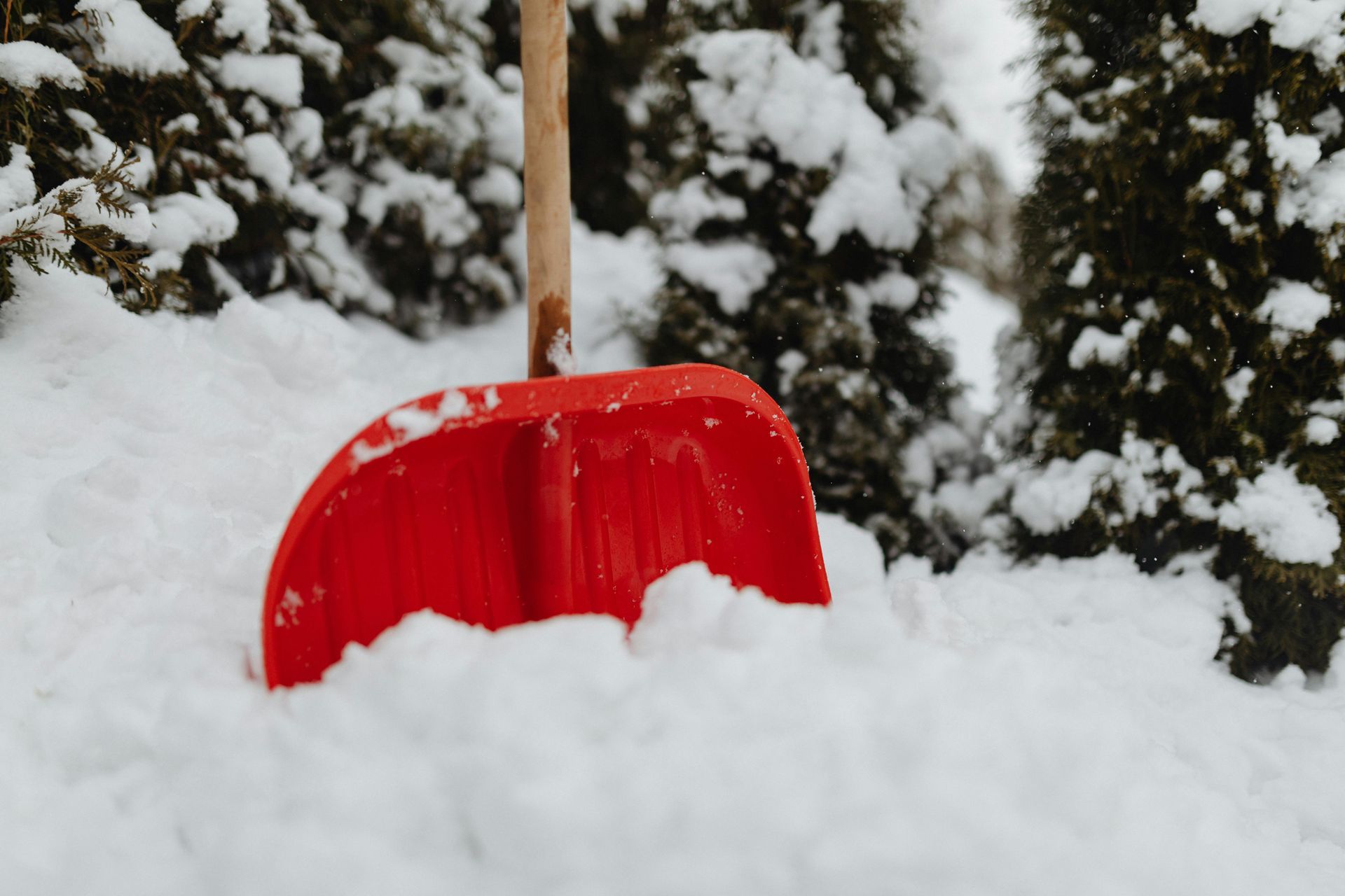 A red snow shovel is sitting in the snow.