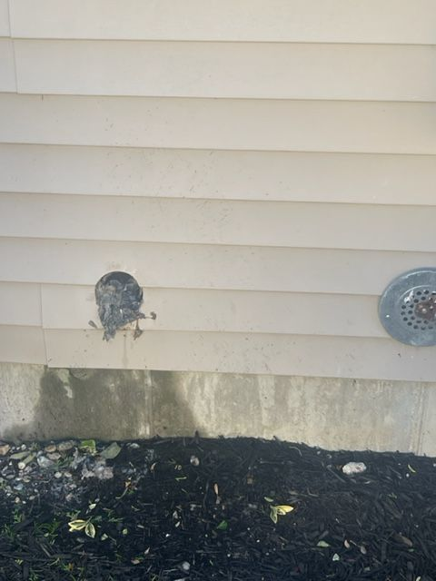 A dryer vent protruding from tan siding, stained below with water residue, and a small flower bed.
