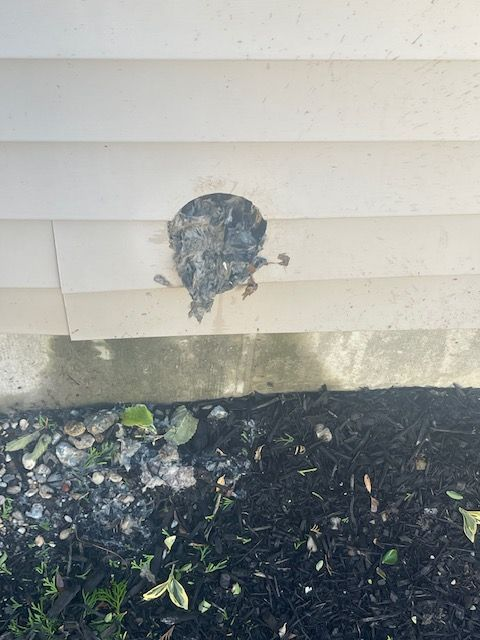 Exterior vent covered in debris on a white siding wall, ground is covered with mulch and small plants.