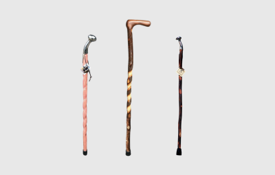 Walking sticks