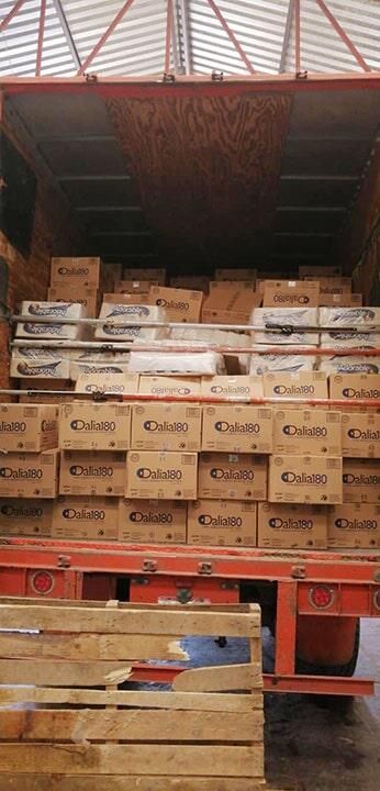 MUDANZAS Y VERO AMÉRICA VA