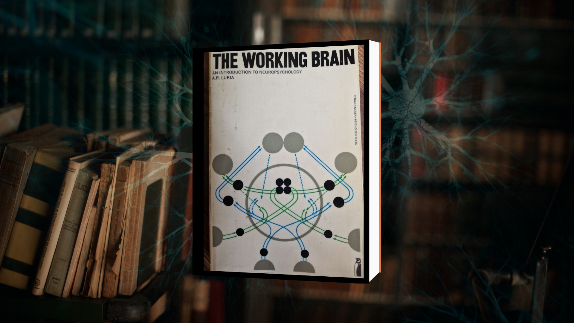 The Working Brain: An Introduction to Neuropsychology (O Cérebro em ...