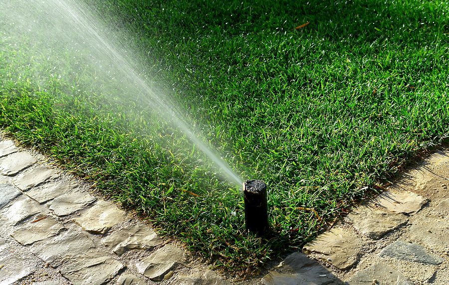 A sprinkler is spraying water on a lush green lawn.