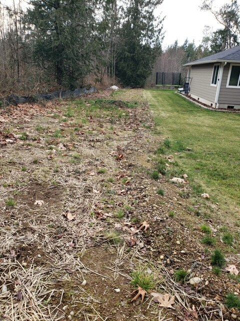 Excavation Contractor in Port Orchard Serving Kitsap County, Mason County, and Gig Harbor
