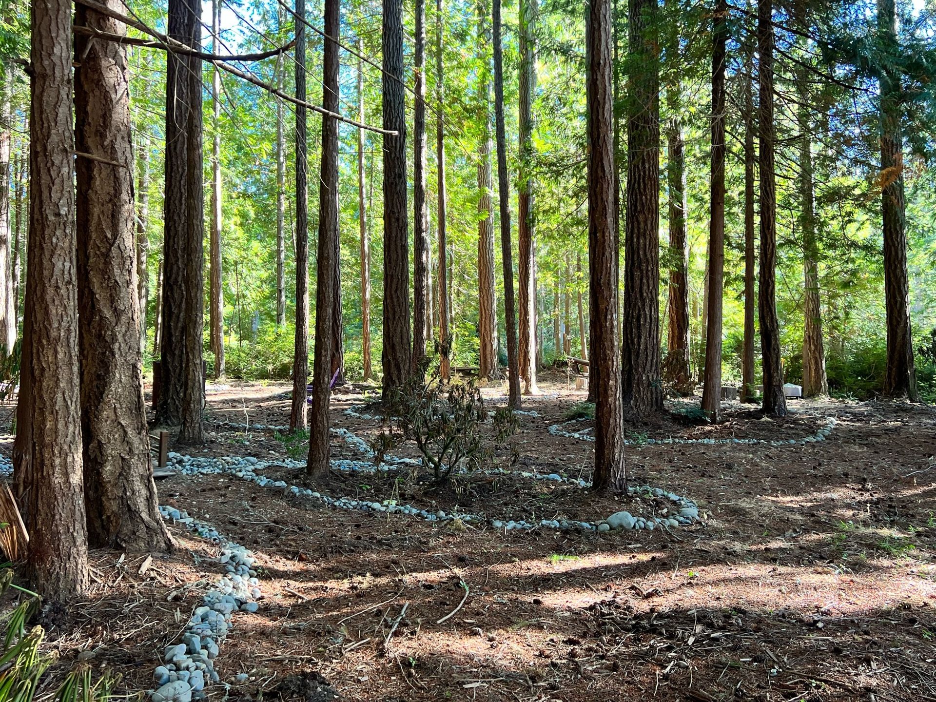 Excavation Contractor in Port Orchard Serving Kitsap County, Mason County, and Gig Harbor
