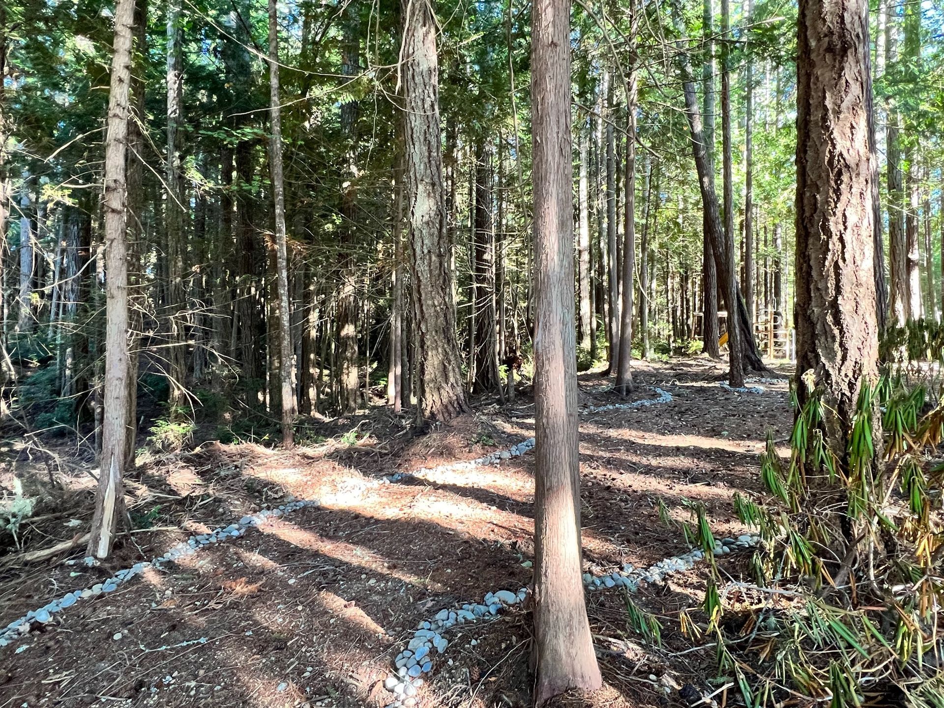 Excavation Contractor in Port Orchard Serving Kitsap County, Mason County, and Gig Harbor
