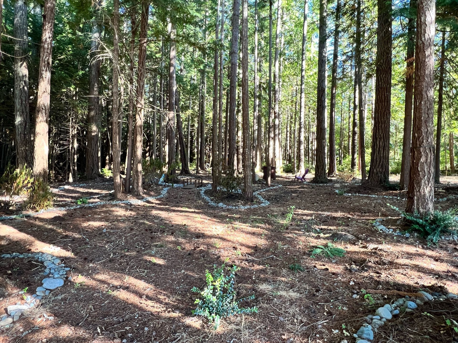 Excavation Contractor in Port Orchard Serving Kitsap County, Mason County, and Gig Harbor
