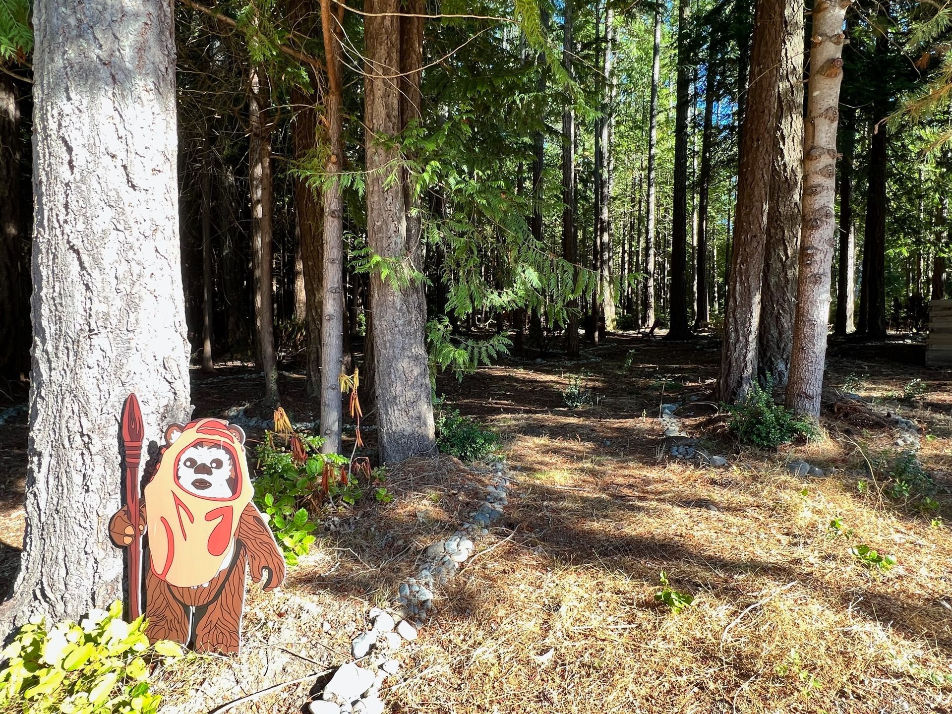 Excavation Contractor in Port Orchard Serving Kitsap County, Mason County, and Gig Harbor
