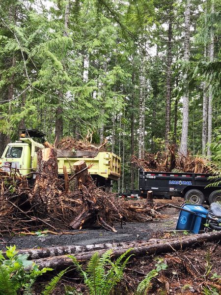 Excavation Contractor in Port Orchard Serving Kitsap County, Mason County, and Gig Harbor
